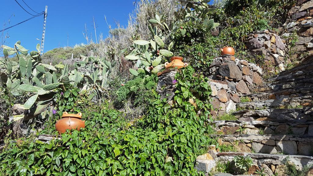 Casa Rural - Laendliches Haus, Pepita La De Las Flores Tejeda  Exteriér fotografie