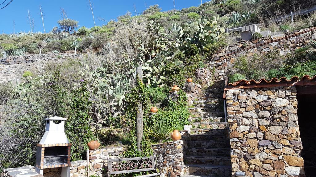 Casa Rural - Laendliches Haus, Pepita La De Las Flores Tejeda  Exteriér fotografie