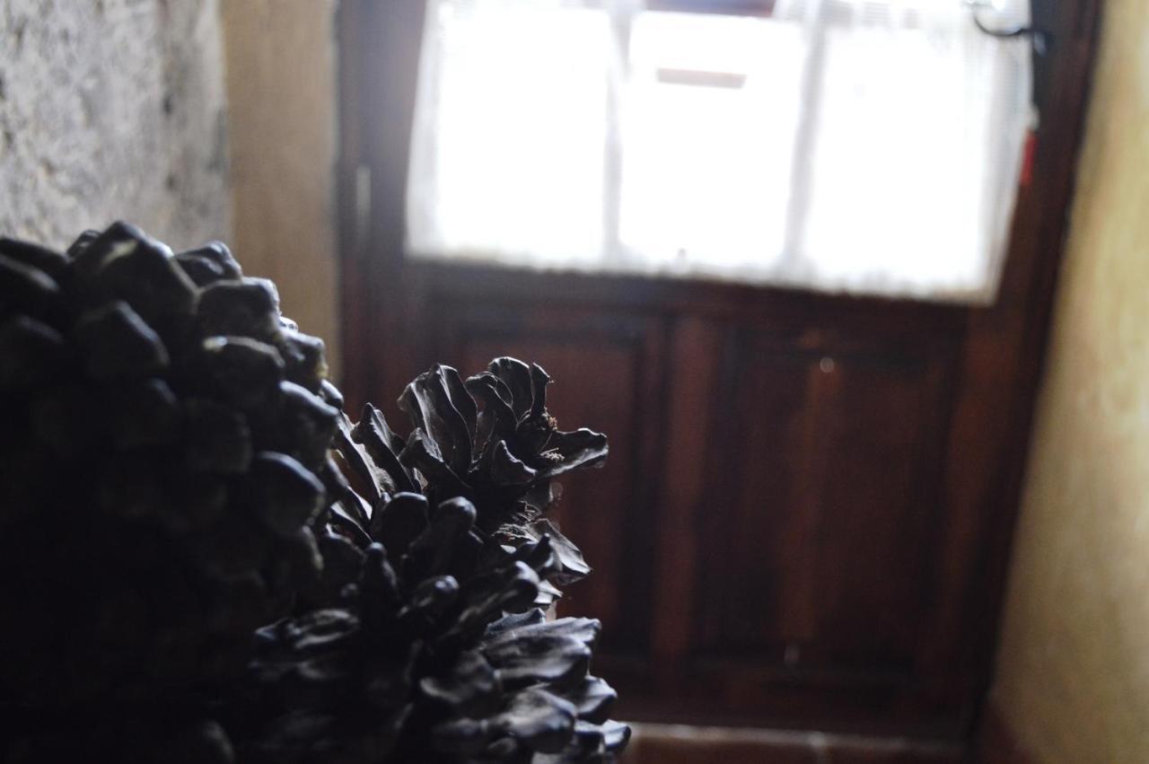 Casa Rural - Laendliches Haus, Pepita La De Las Flores Tejeda  Exteriér fotografie