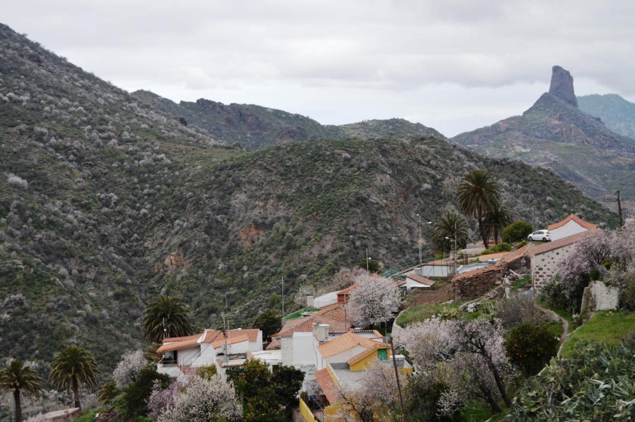 Casa Rural - Laendliches Haus, Pepita La De Las Flores Tejeda  Exteriér fotografie